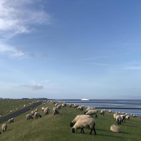 Wind Und Meer - Traumhaft An Der Nordsee Norddeich  Exteriör bild