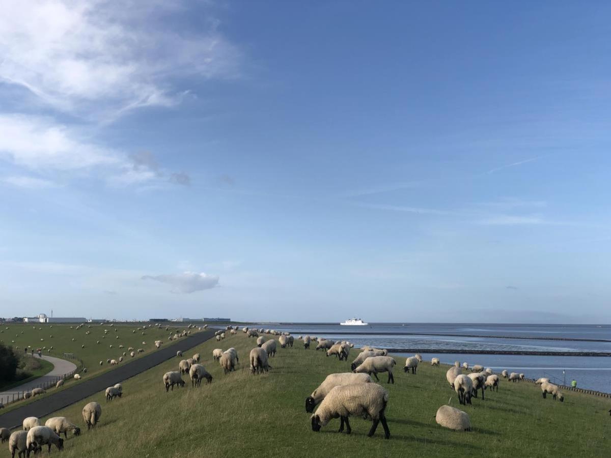 Wind Und Meer - Traumhaft An Der Nordsee Norddeich  Exteriör bild